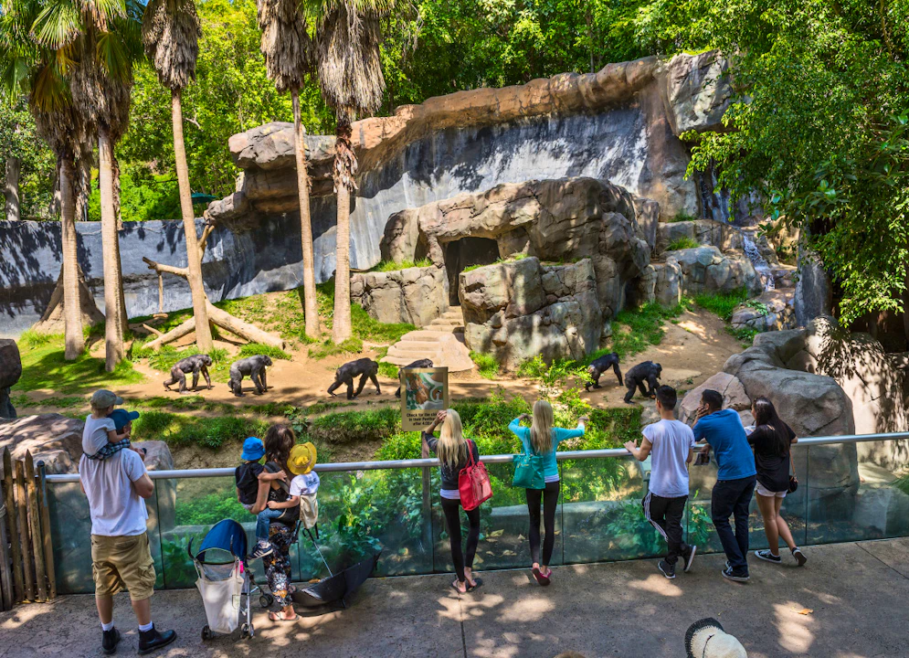 Go City Las Vegas Explorer Pass – Save up to 50% on Attractions Ticket